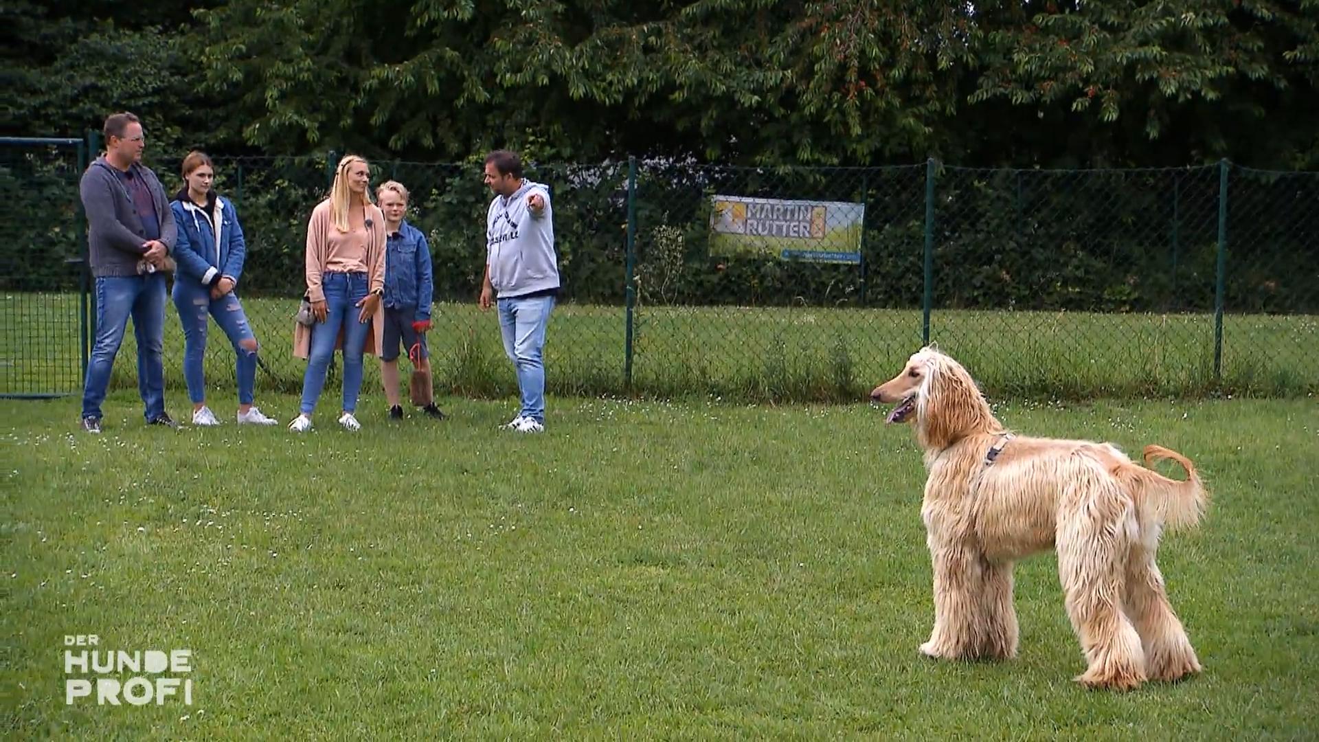 Filou bekommt artgerechte Beschäftigung