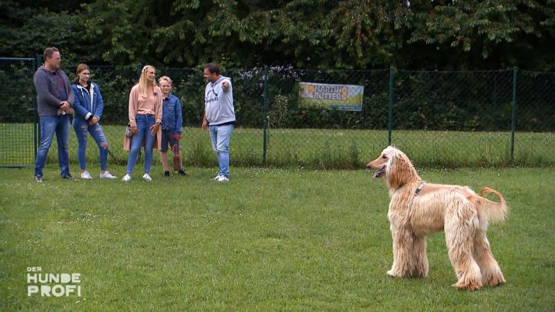 Filou bekommt artgerechte Beschäftigung