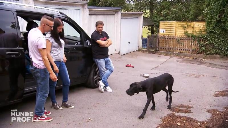 Luke hat riesige Fortschritte gemacht