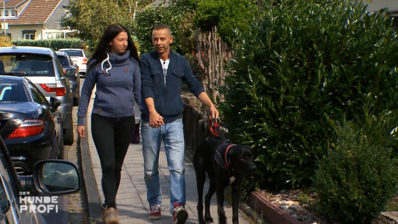 Luke ist jetzt "fast ein normaler Hund"