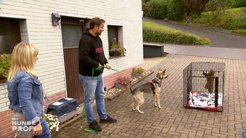 Wie reagiert Marla auf Katze Tinka?