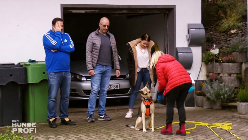 Ausreißerin Marla soll ohne Leine apportieren