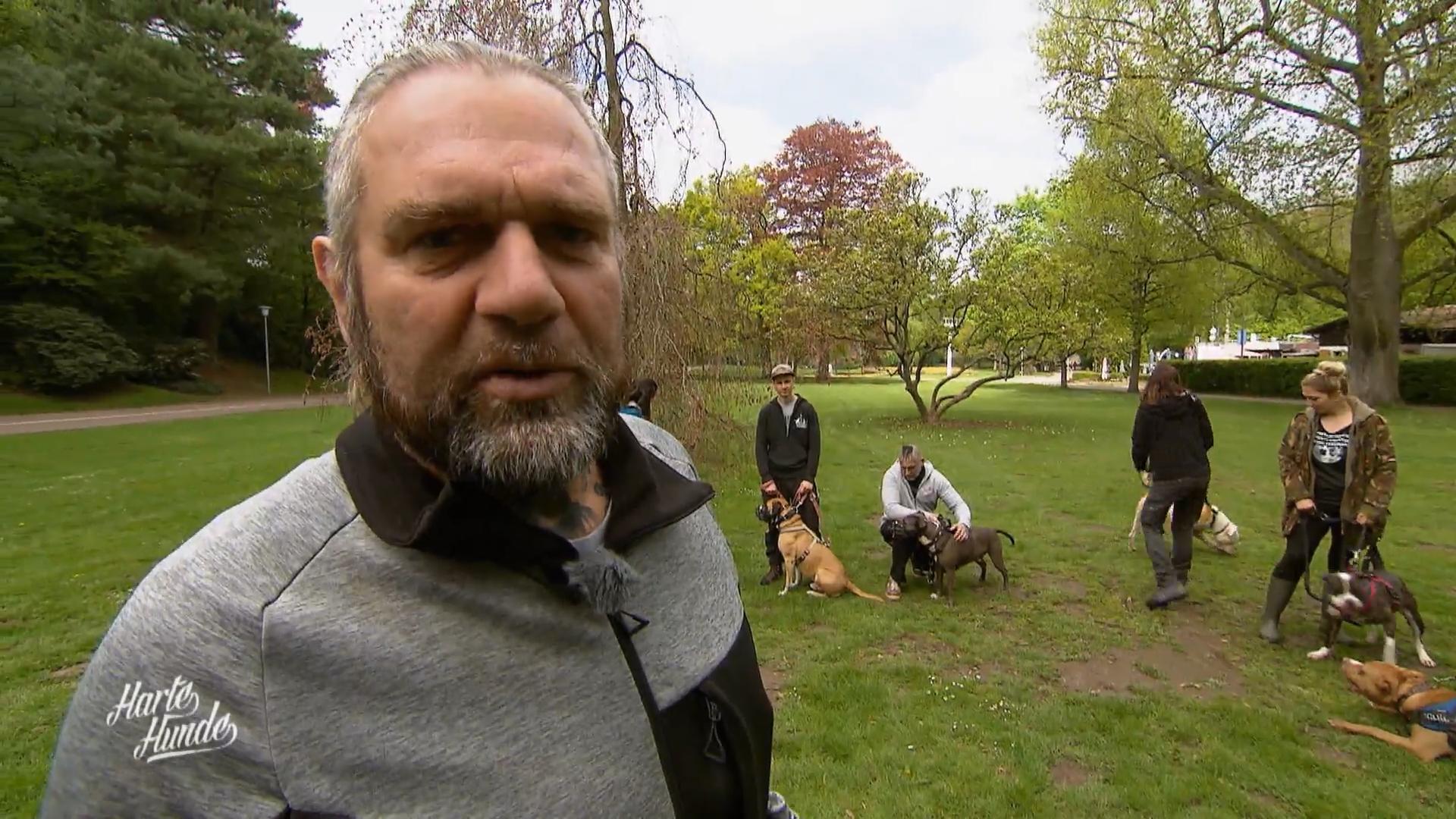 Die harten Hunde gehen mit harten Hunden Gassi