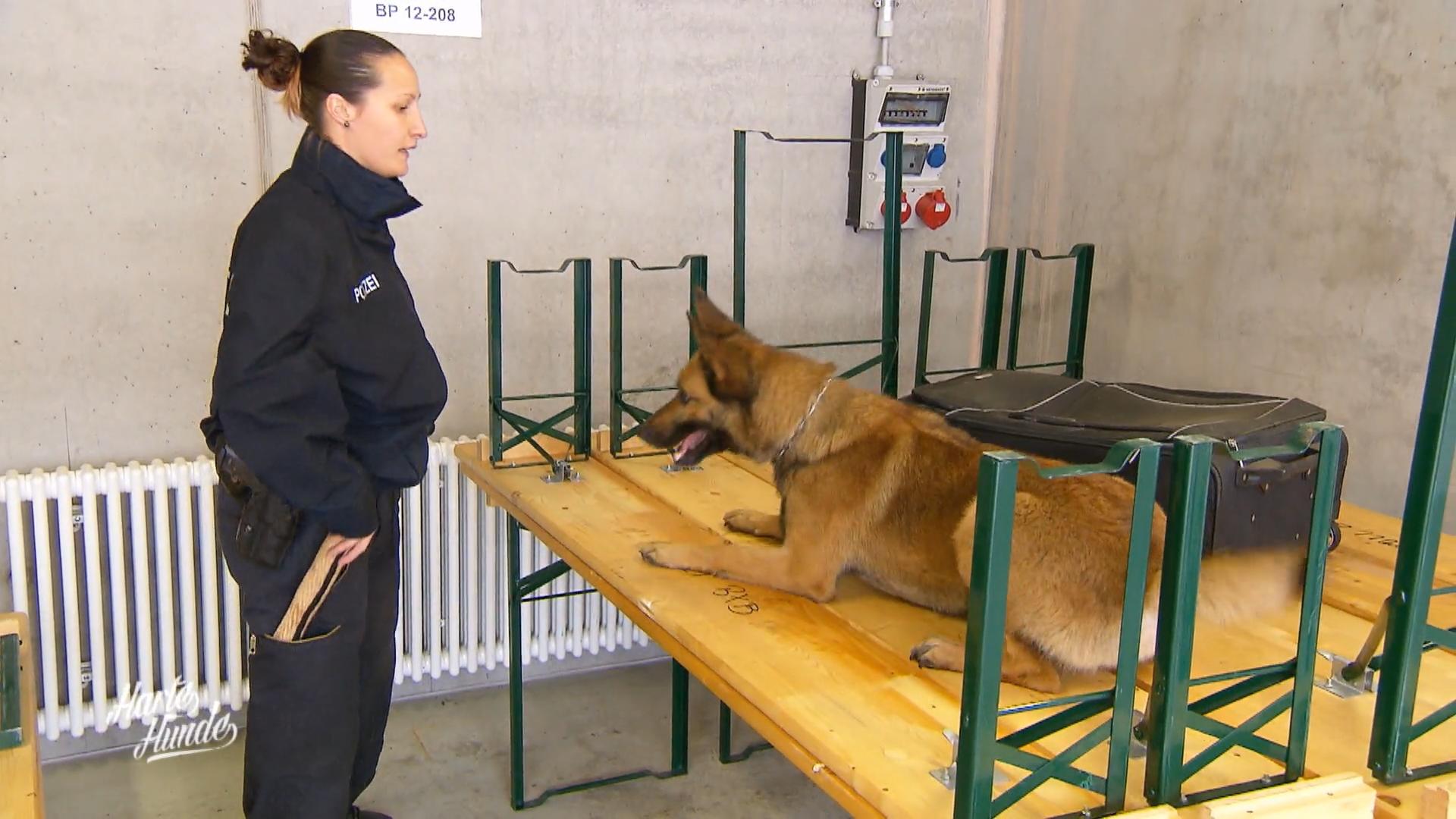 Ein ehemaliger "Cold Case" hat es weit geschafft!