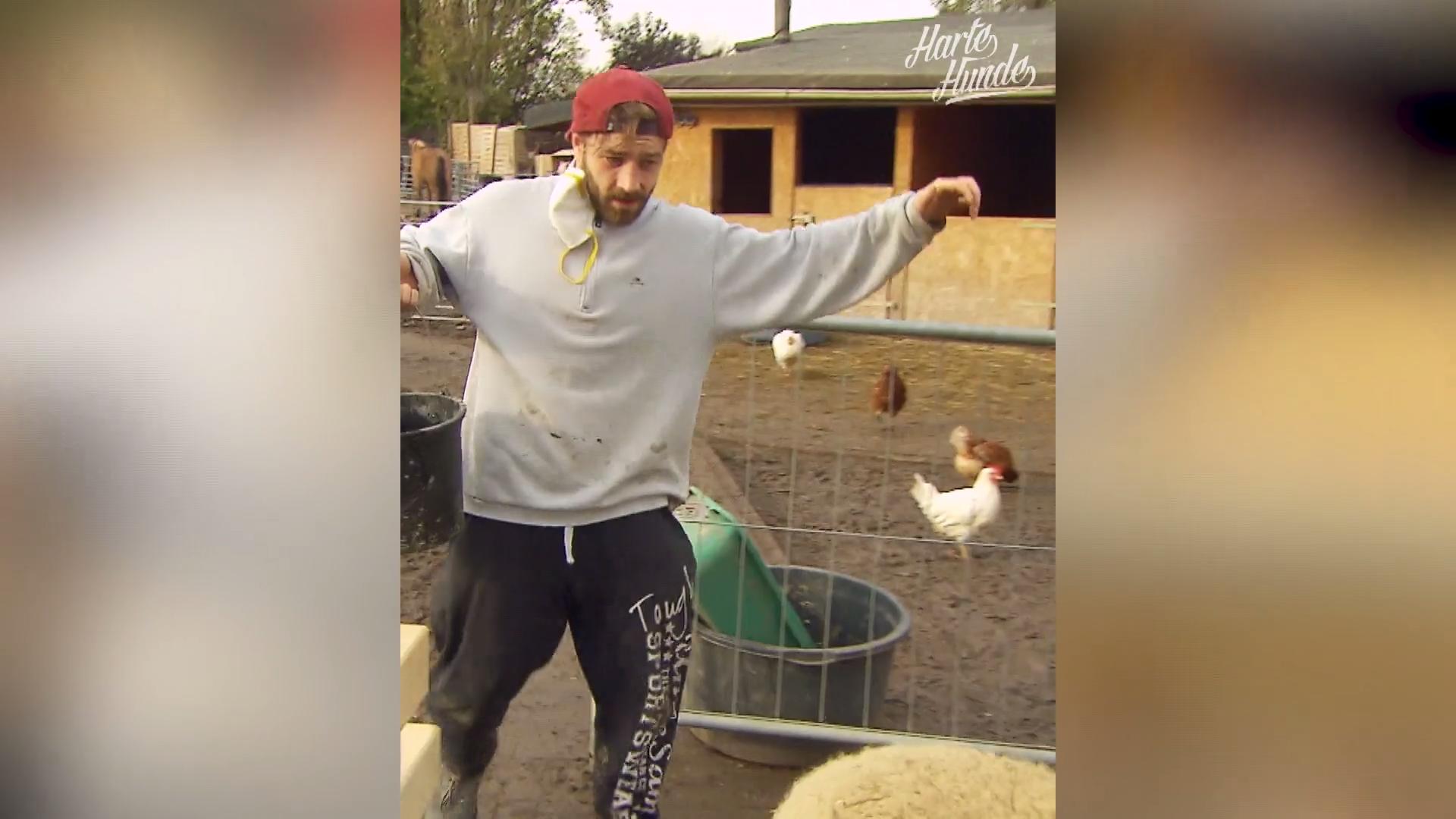 Eine Arche Noah für Tiere