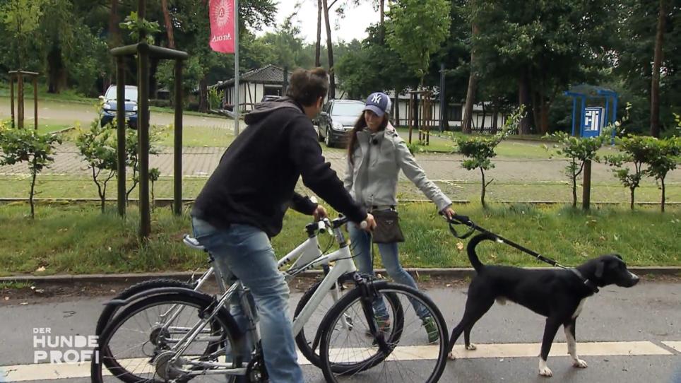 Spaziergang im Park