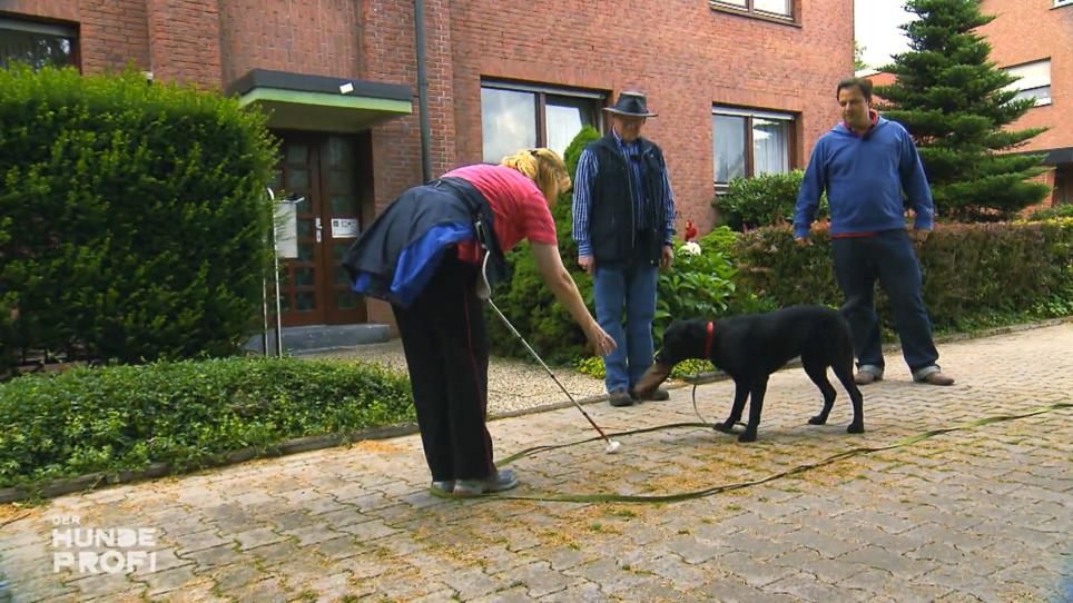 Spaziergang im Park