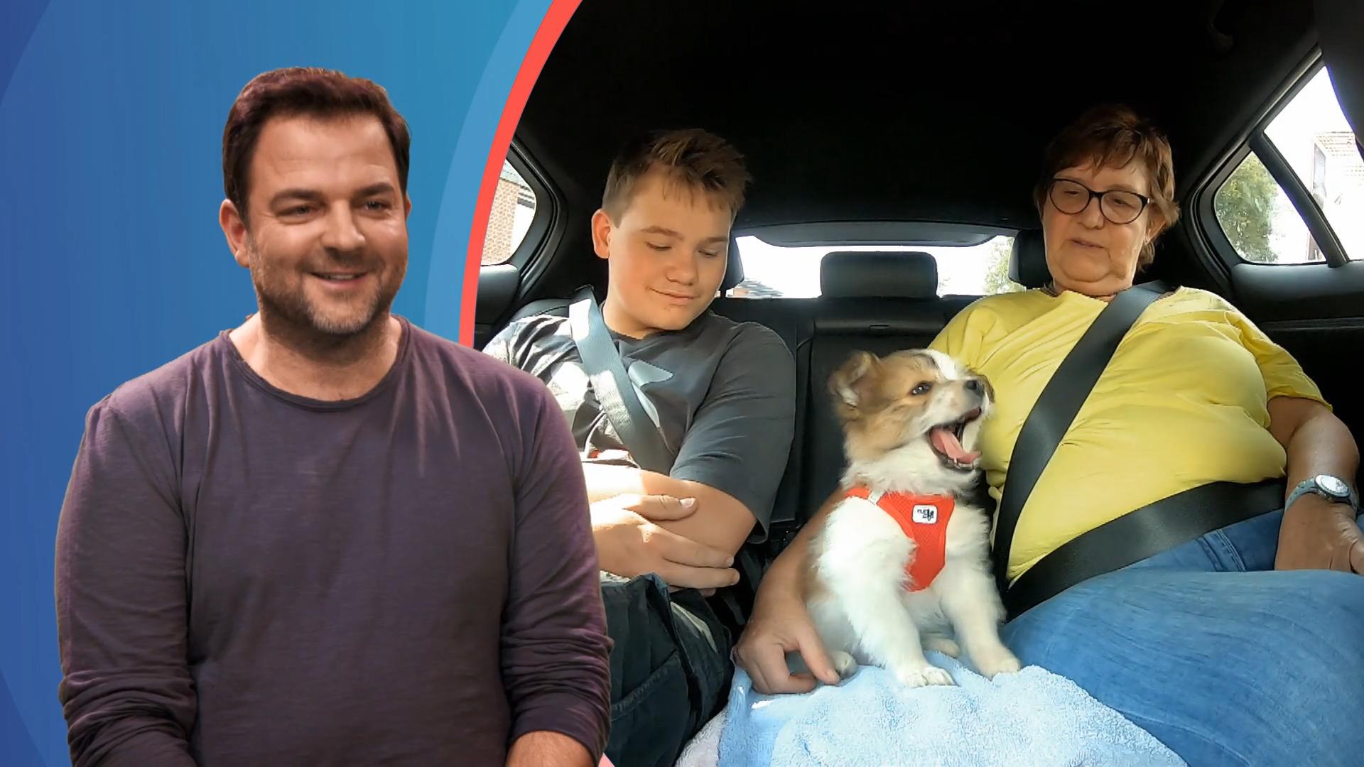 Ein Welpe soll die Patchwork-Familie komplettieren