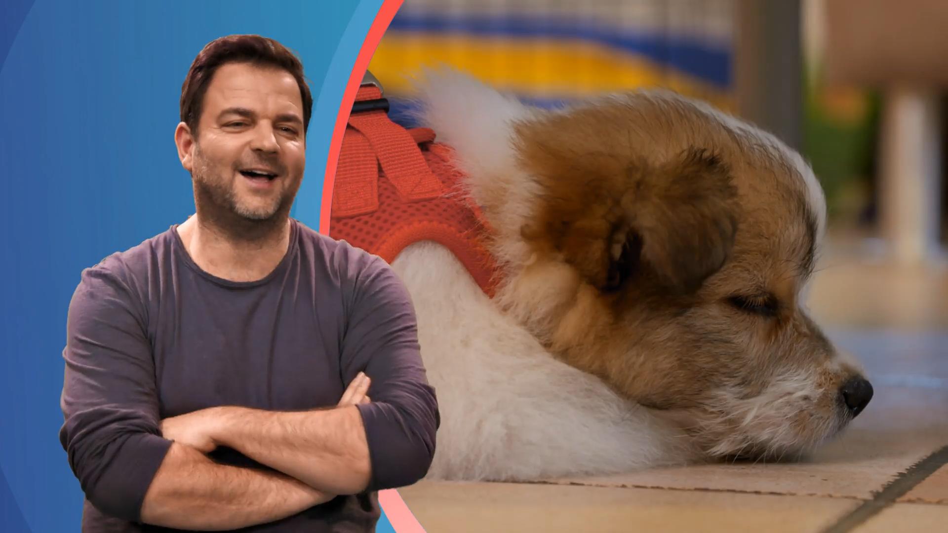 Felix ist enttäuscht, dass Quania so viel schläft