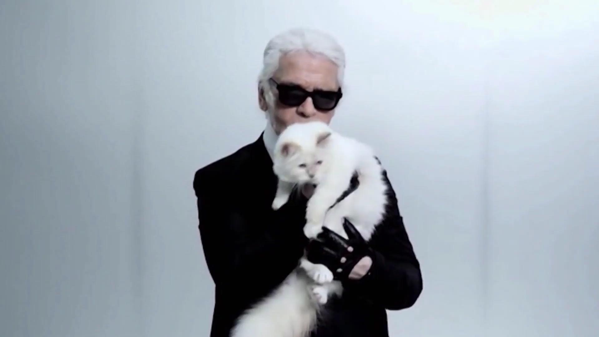 Was macht eigentlich seine Katze Choupette?