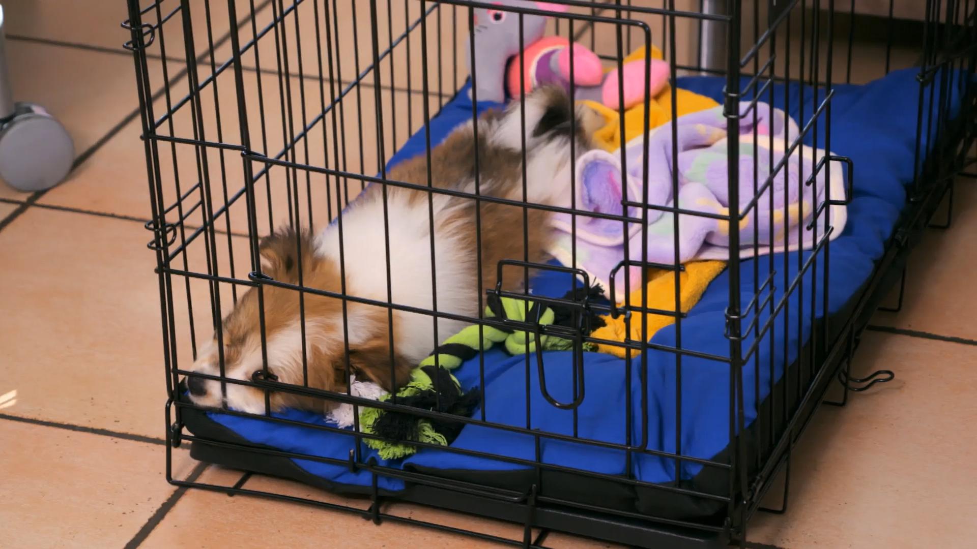 Die erste Nacht mit Quanja war aufregend