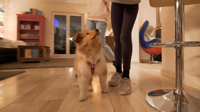 Lilly lernt das Haus kennen