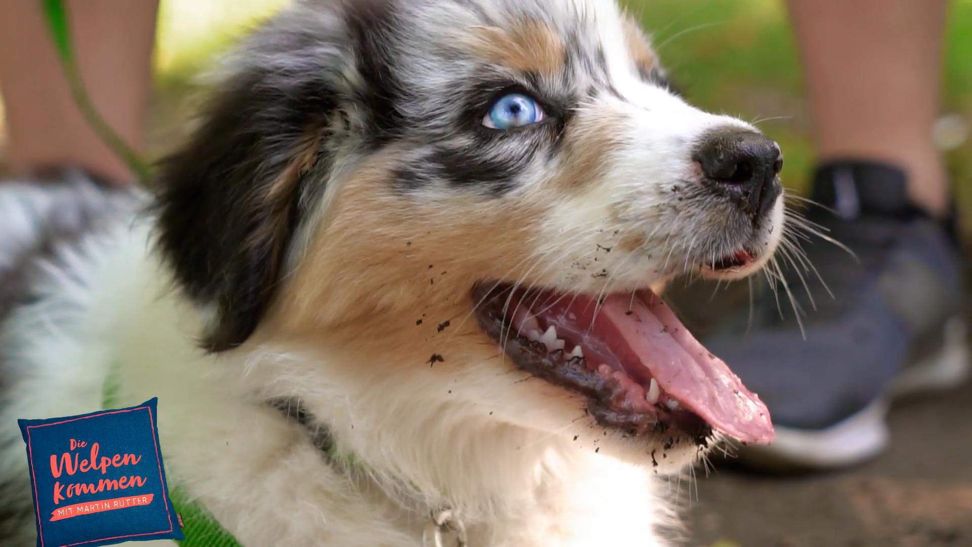 Kinder anbeißen, Fotos shooten und einfach aufdrehen!