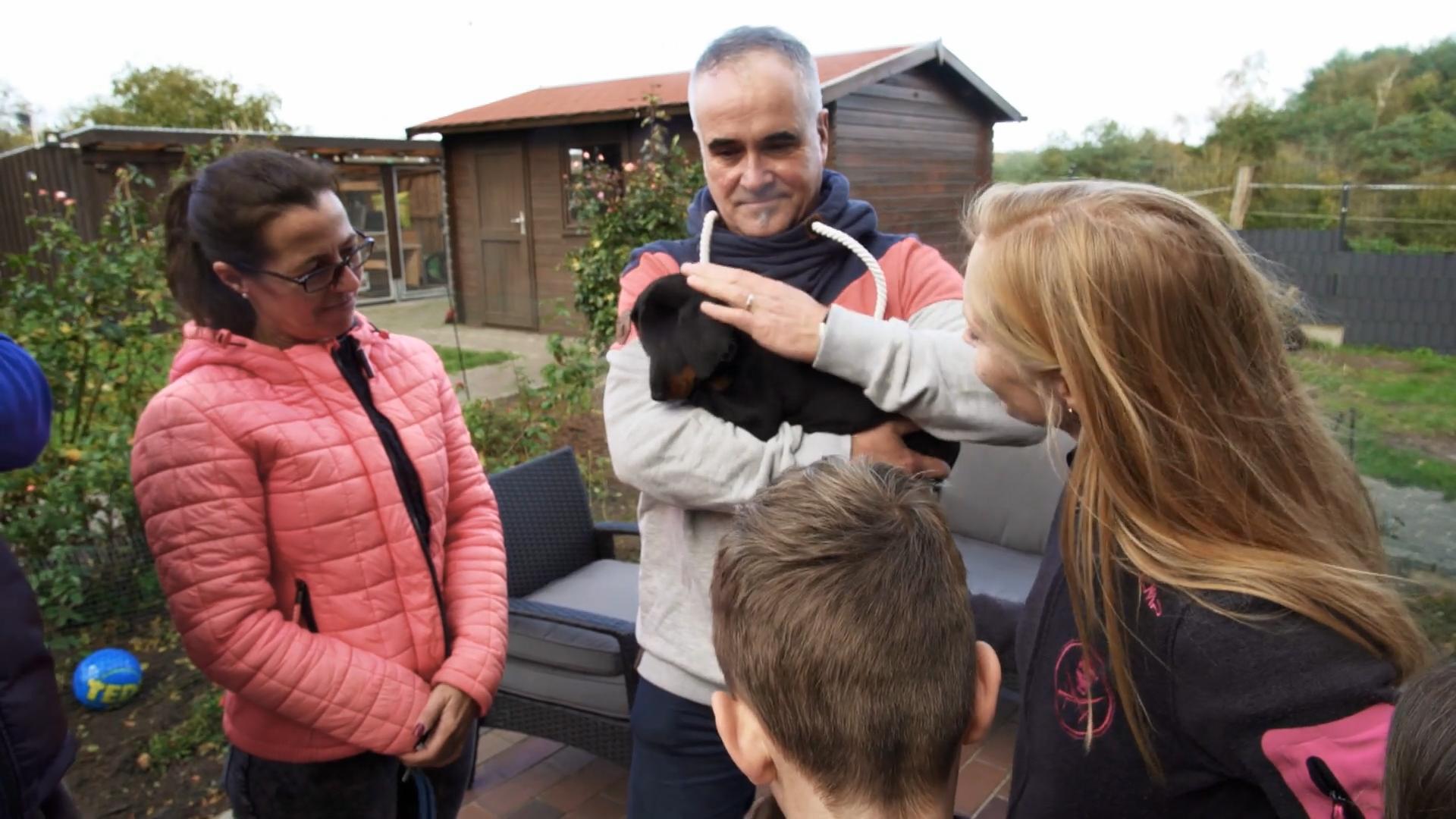 Dobermann-Welpe Dan bekommt ein neues Zuhause