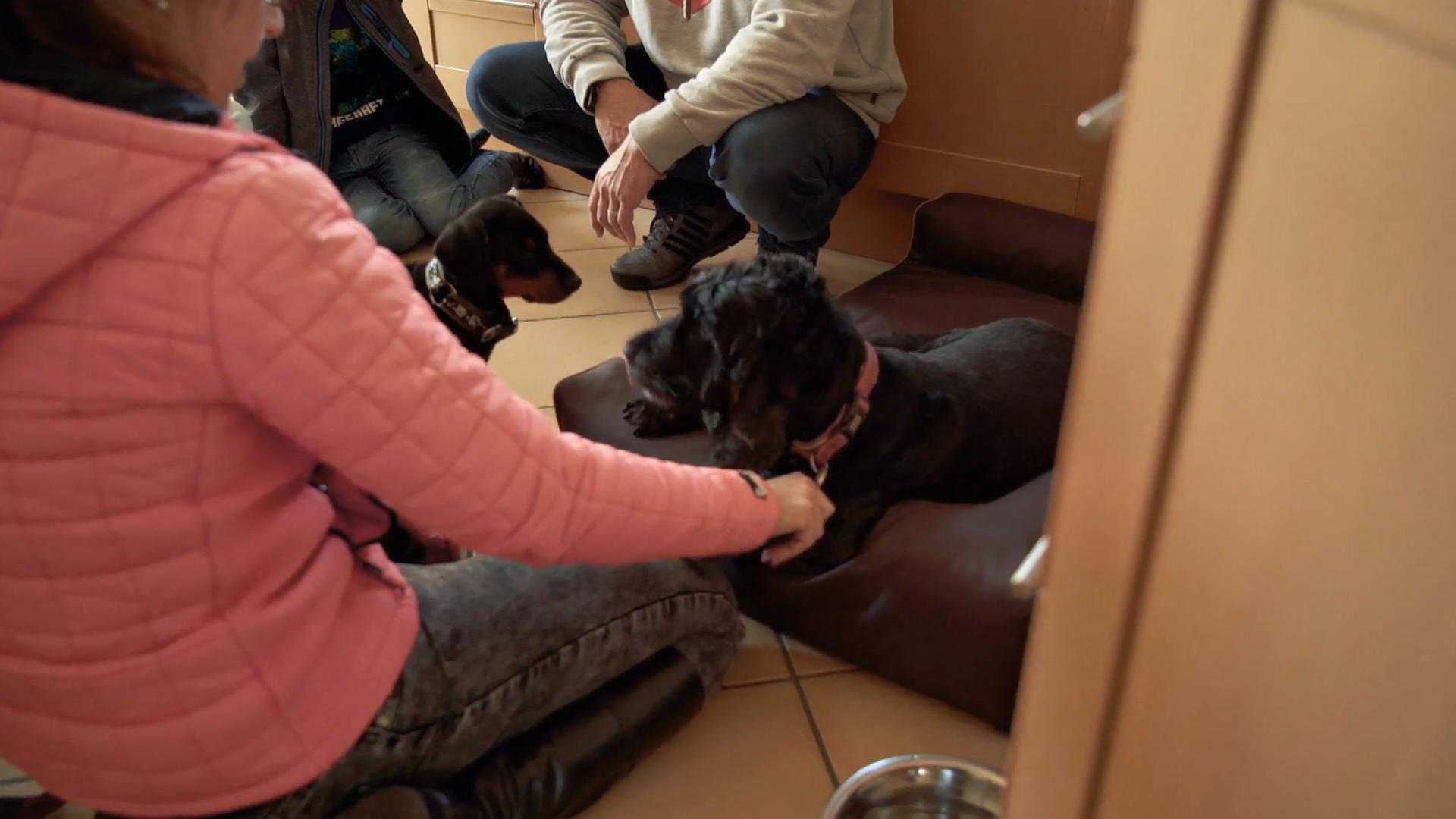 Wie läuft der erste Kontakt mit Hundedame Emma?