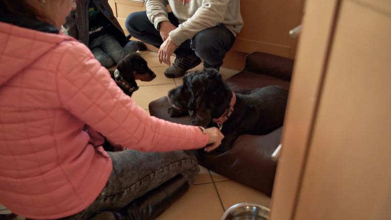 Wie läuft der erste Kontakt mit Hundedame Emma?