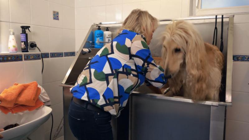 Magic und sein jüngerer Bruder werden gebadet und gefönt