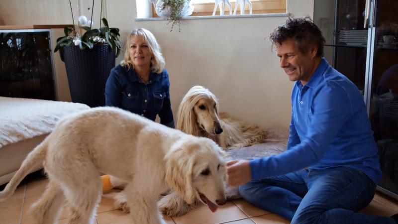 Chikano macht sehr viel Blödsinn