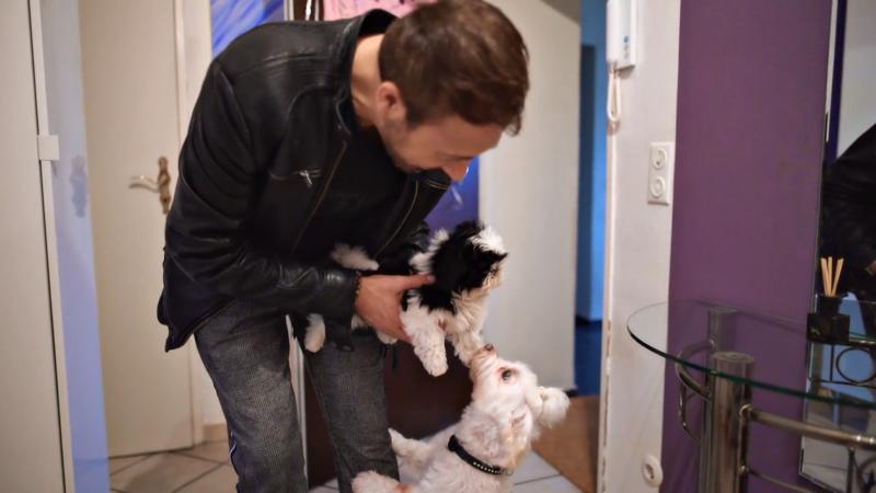 Ibo sucht eine Gefährtin für Aslan