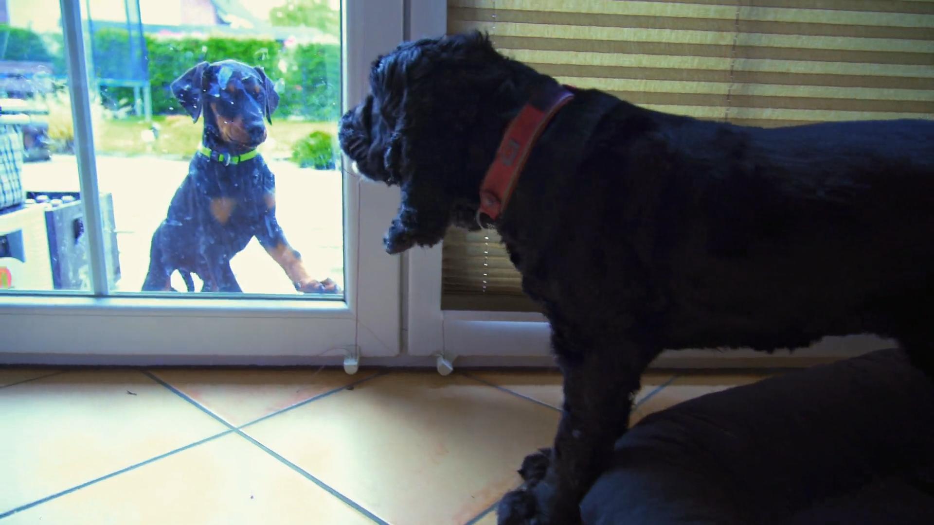 Dan und Emma werden räumlich getrennt