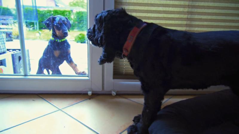 Dan und Emma werden räumlich getrennt