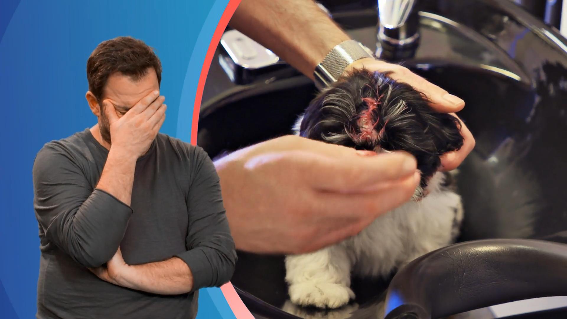 "Für Lillifee kann ich mir sehr viele Frisuren vorstellen!"