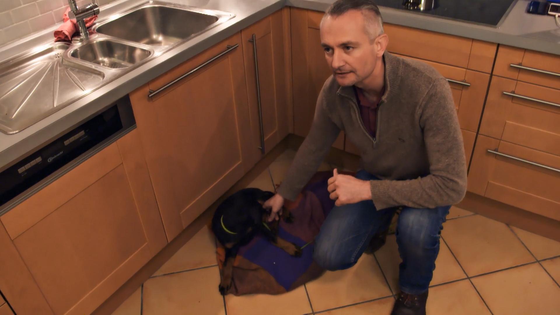 Der Hundetrainer bringt Dan das Entspannen bei