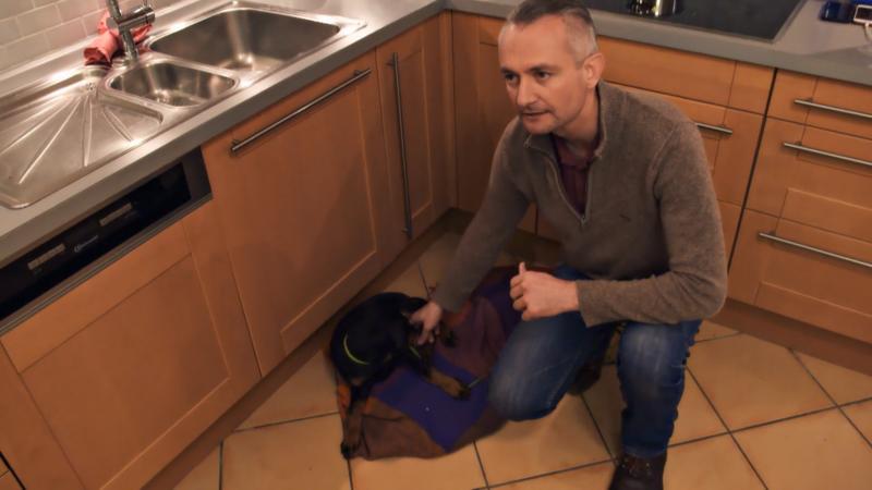 Der Hundetrainer bringt Dan das Entspannen bei