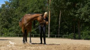 Katja fängt mit Karianis Trainig langsam an