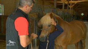 Vinkona wird bei Berd dem Osteopathen vorgestellt