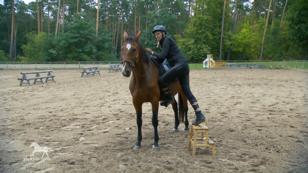 Wird Kariani Katja aufsteigen lassen?