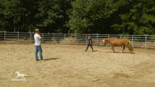 Vinkona hat bei Bernd große Fortschritte gemacht