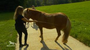 Bernd sucht neue Herausforderungen für Vinkona
