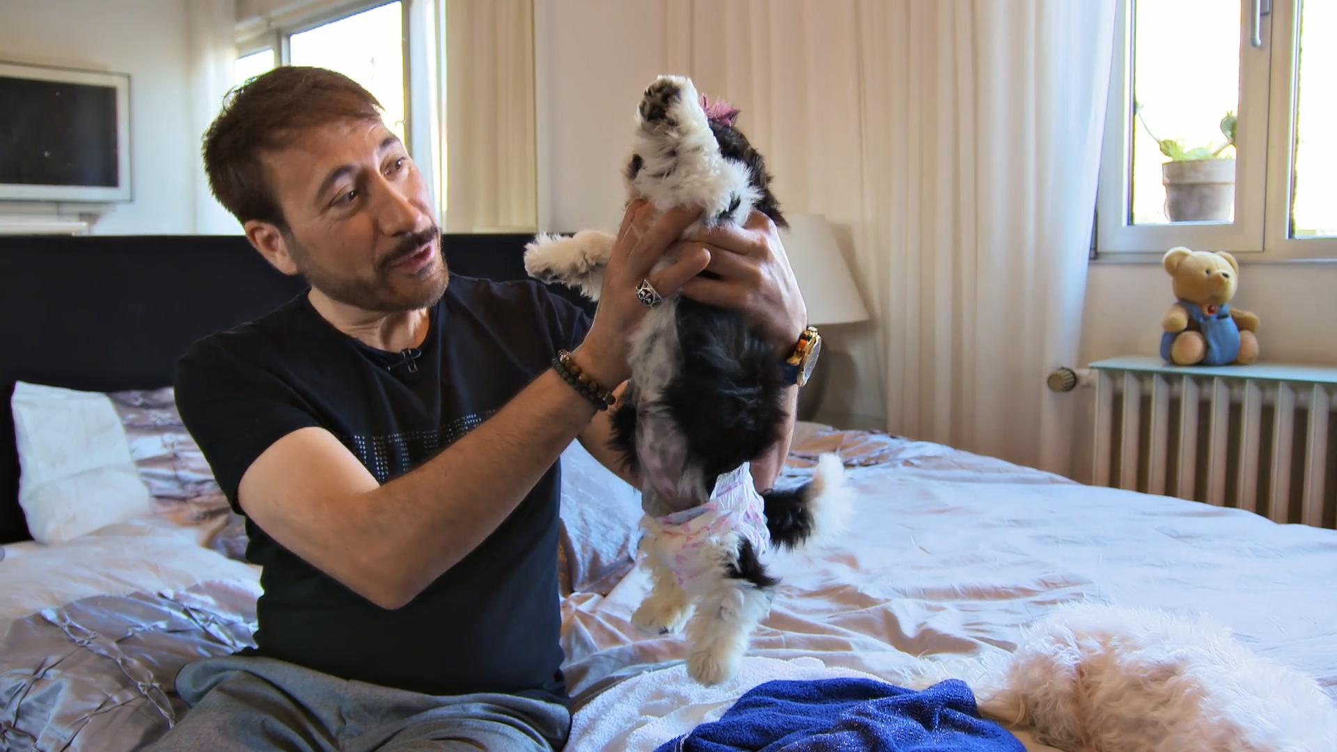 Welpe Lilifee bekommt eine Windel verpasst