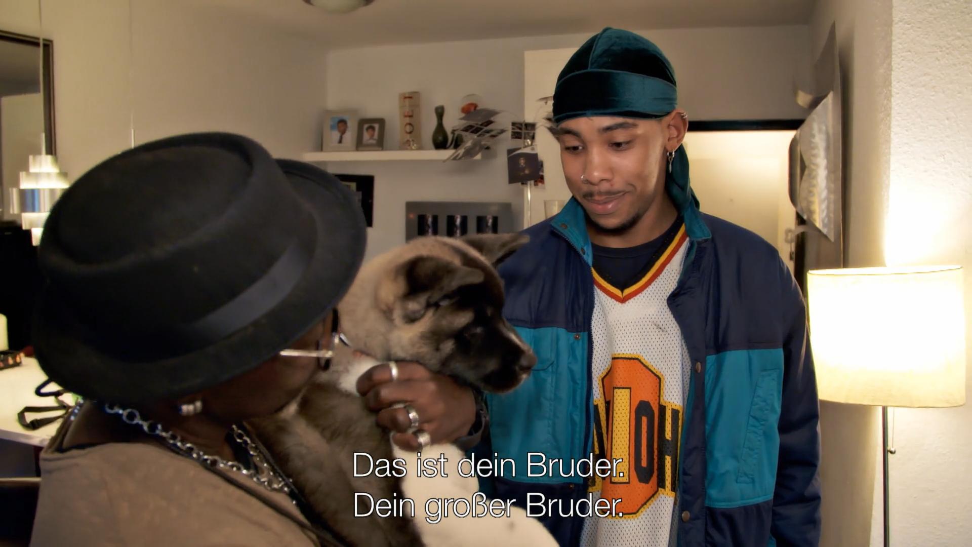 Sidney hat eine starke Hundephobie