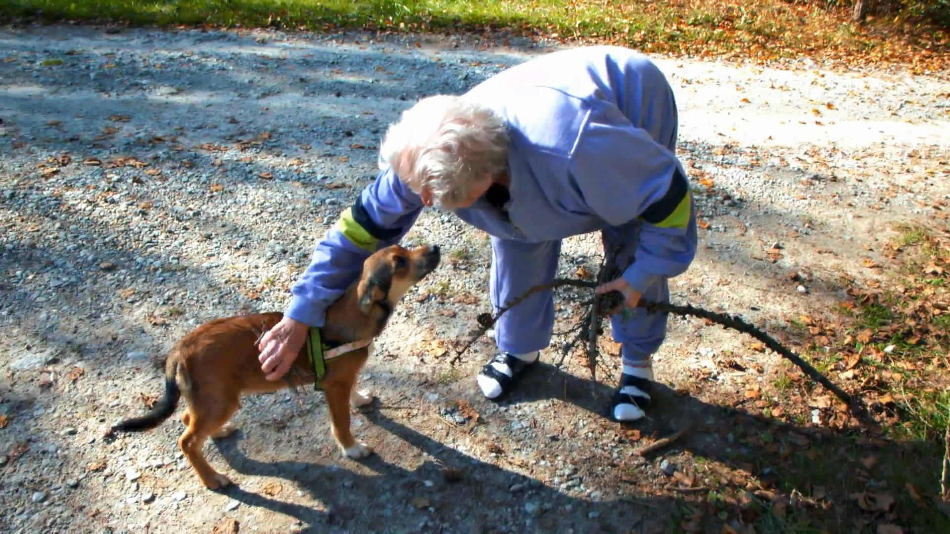 Hunde sind super Therapeuten