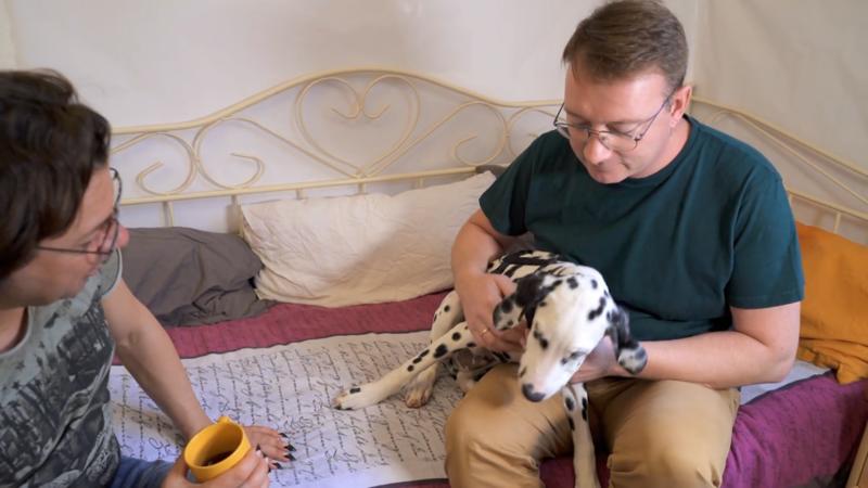 Hunde sind gruppenbezogen, nicht revierbezogen