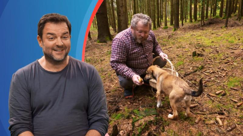 Wie bringt man einem Hund bei, welche Pilze giftig sind?
