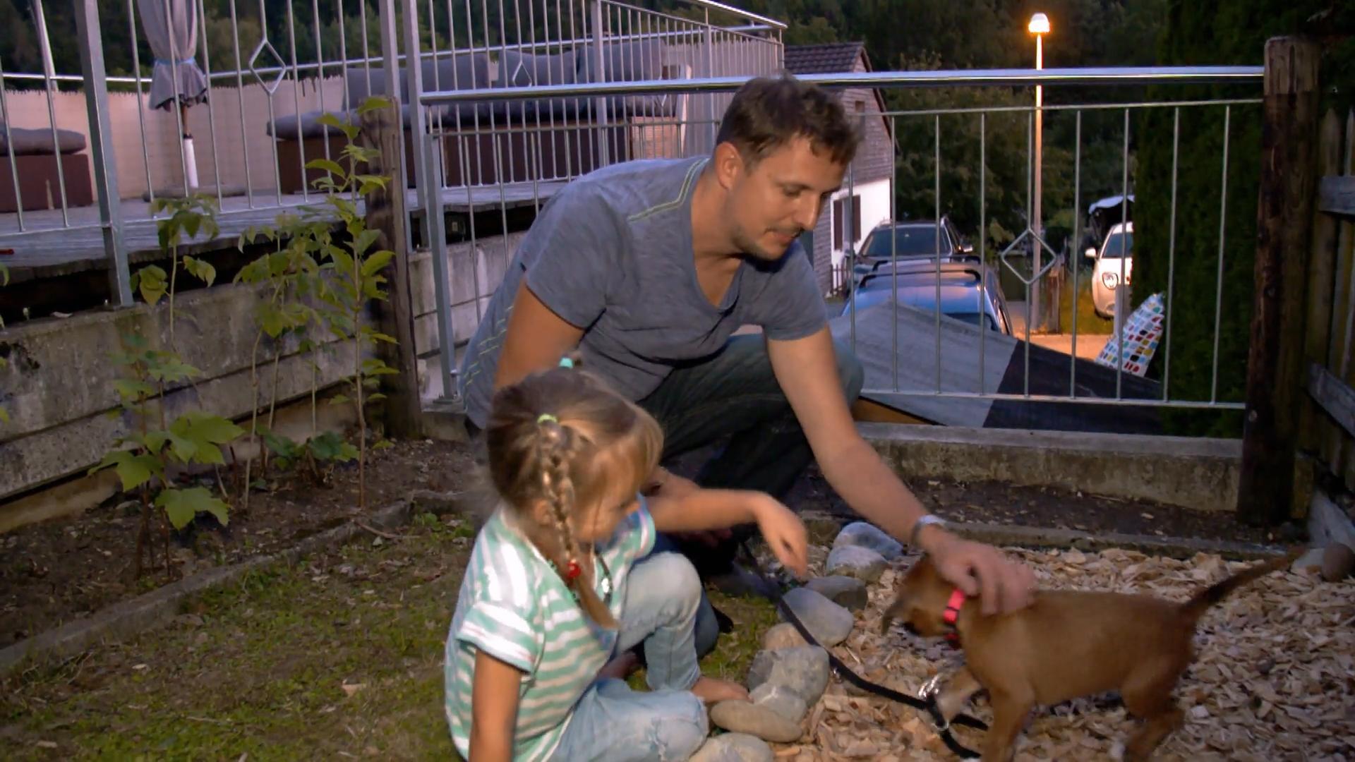 Man kann einen Hund an eine Pipistelle gewöhnen