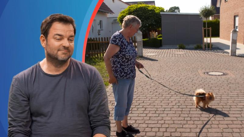 Thula gibt die Richtung vor