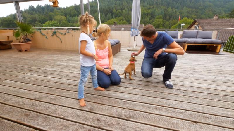 Welpenerziehung ist von Anfang an wichtig
