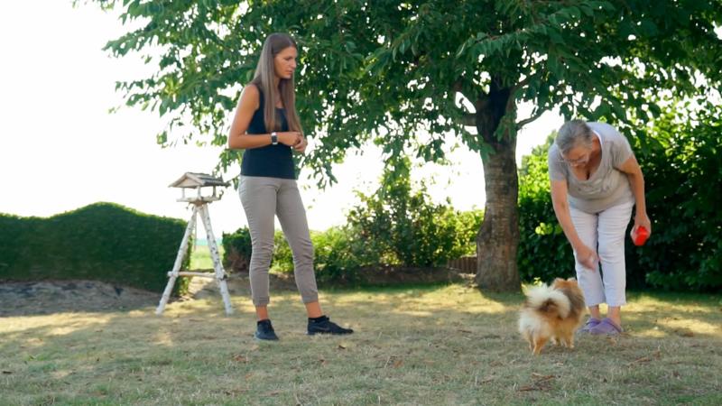 Man muss sich dem Hundeverständnis anpassen