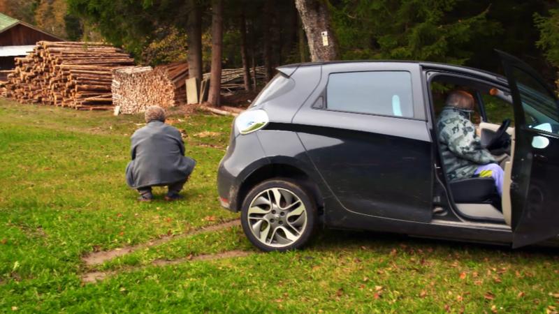 Wenn man einen Hund ins Auto verfrachten soll