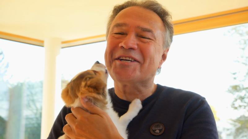 Ein Hundewelpe soll die Rente bereichern