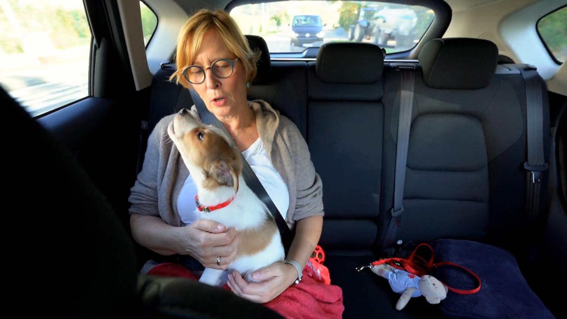 Für Emmy ist die Autofahrt viel zu aufregend