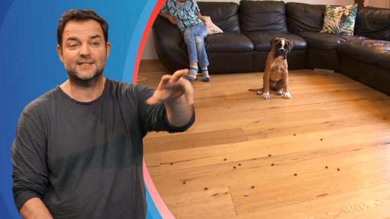 Mogli ist schon super trainiert