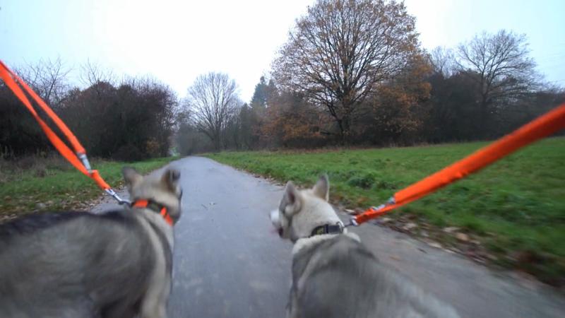 "Da rennt ein Rosinenbrötchen!"
