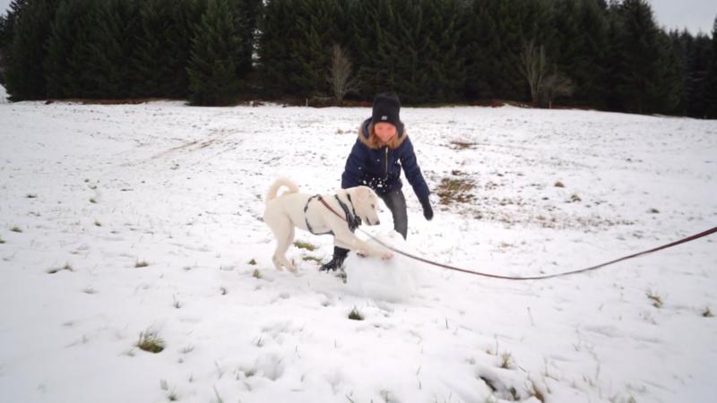 Leila lernt Schnee kennen