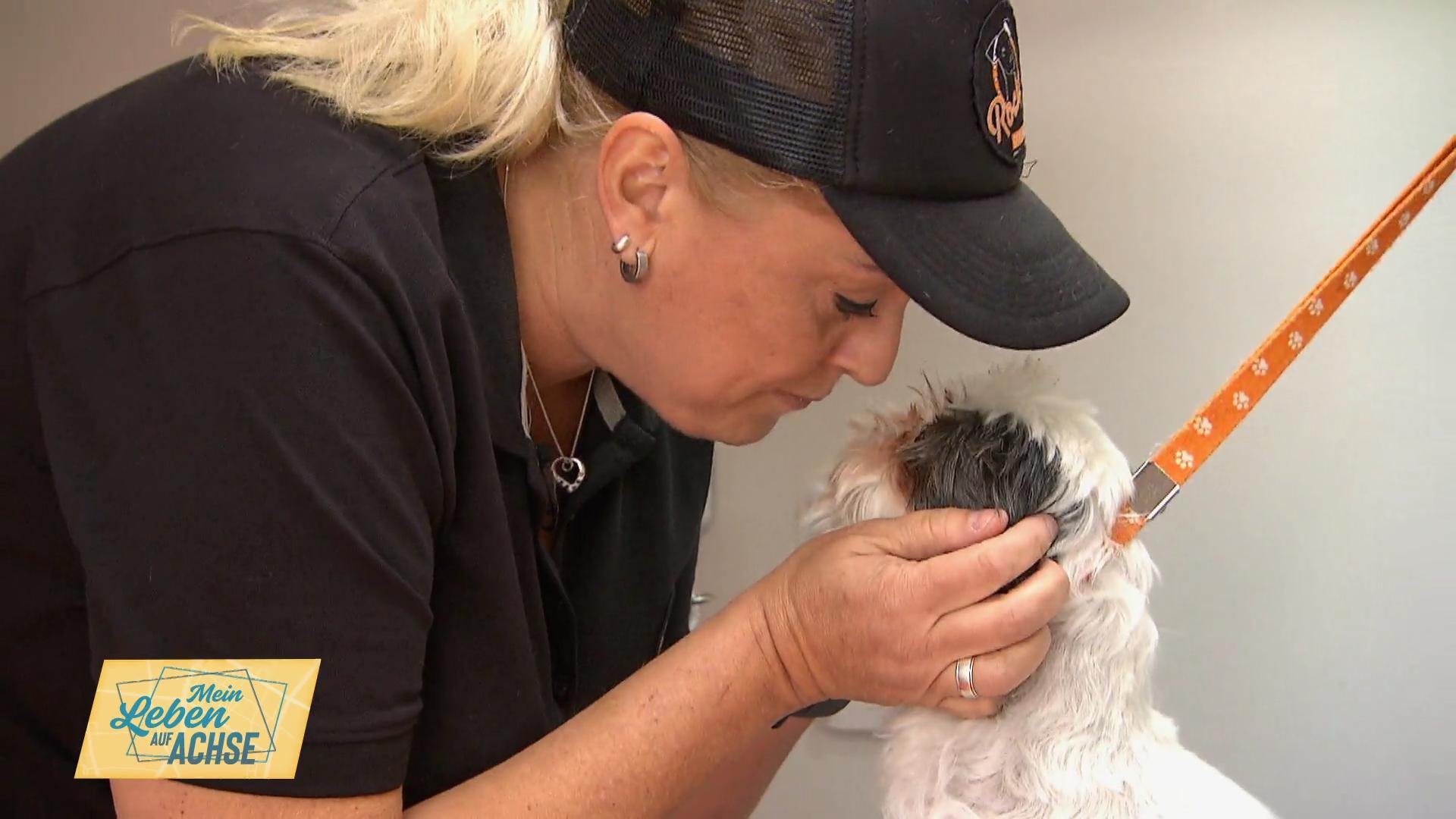 Kaybee weiß auch mit ängstlichen Hunden umzugehen