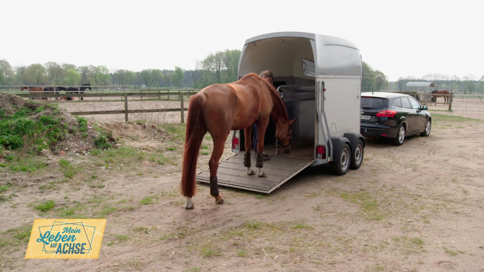 Andrea besucht Lena und ihre Dressurstute Ruby